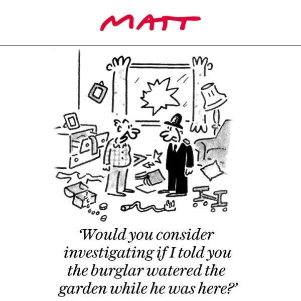 Matt burglary cartoon