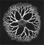 Mystery object 2304