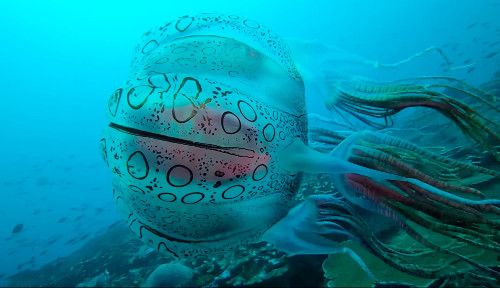 Mystery object 2311