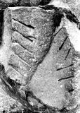 Mystery object 2317
