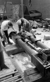 NewtonWhitelees118803
