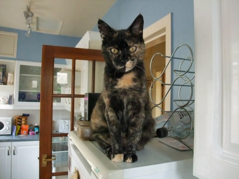 Rosie Aloof and Aloft
