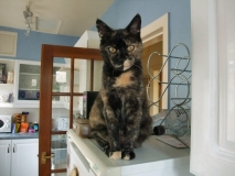 Rosie Aloof and Aloft