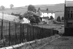 Gilliansfrommillyard7712201