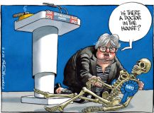 Truss cartoon 02