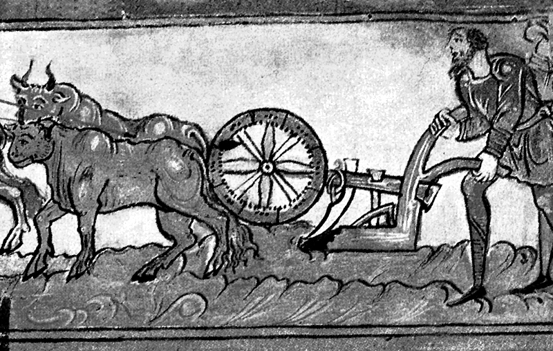 Medieval ploughing