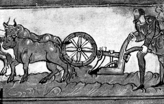 Medieval ploughing