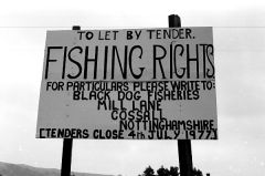 BlackDogFisheries7712401