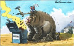Trump mid term failure