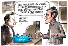 Twitter cartoon