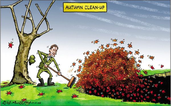 Hunt budget cartoon 05