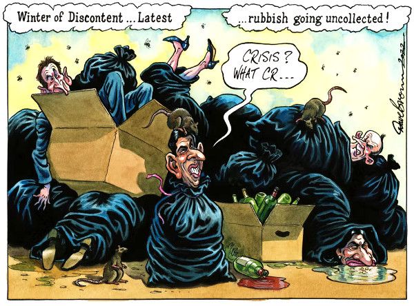 Sunak crisis cartoon