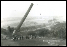 RossMillFelling