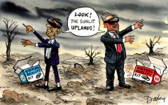 Political promises cartoon