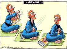 Spare Harry Cartoon