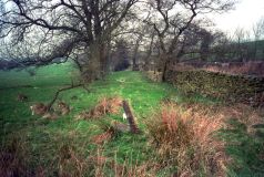 StandingStone