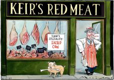 Starmer NHS cartoon