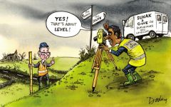 Levelling up cartoon