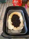 In the pan
