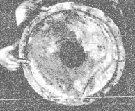 MYSTERY OBJECT 284