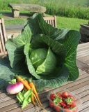 Veg for tea tonight