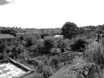 ButtsGardens 1982