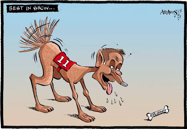 Budget cartoon