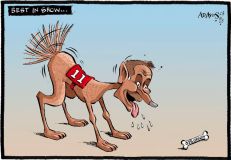 Budget cartoon