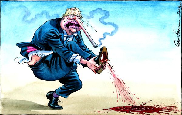 Johnson privileges cartoon