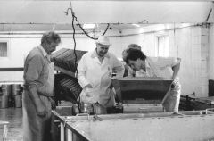 FredTaylorat Greenfield'scheesefactoryGoosnargh831103