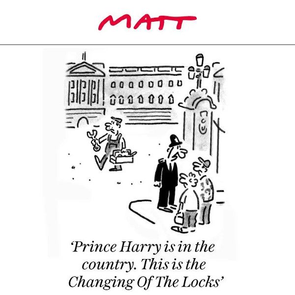 Matt cartoon Harry Visit