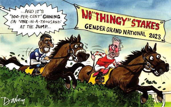 Gender cartoon