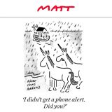 Unicorn cartoon
