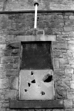 DemolitionBancroft803704