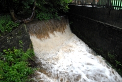 Butts Dam 28 July 13