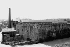 Calf Hall127861