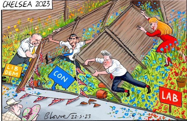 Chelsea cartoon