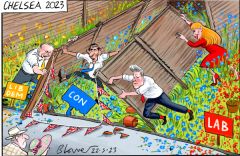 Chelsea cartoon