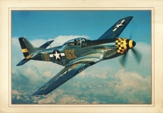 Mustang