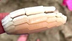 Mystery Object 2421
