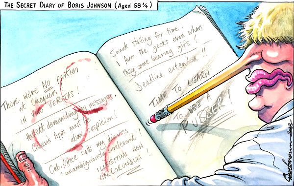 Johnson diaries cartoon
