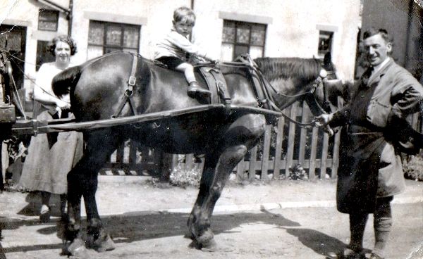Alfred Harrison with horse and fruit cart