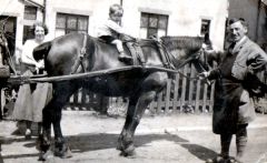 Alfred Harrison with horse and fruit cart