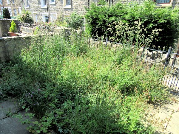 Front Garden 090623