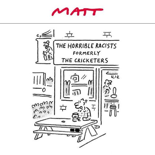 Matt cricket cartoon