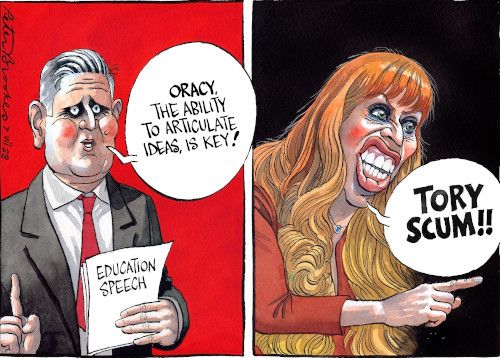 Starmer education cartoon