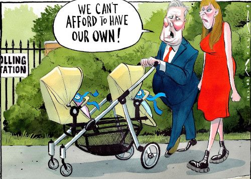 By Election Cartoon