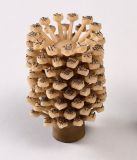 Mystery Object 2437