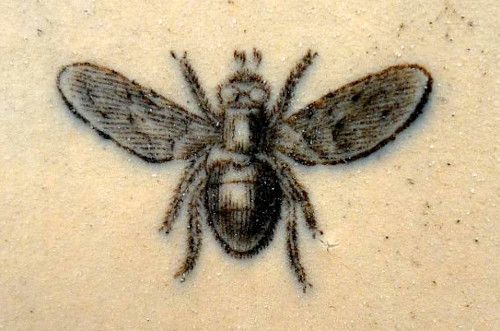 Fly on Urinal