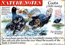 Coutts cartoon
